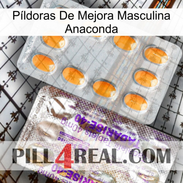 Píldoras De Mejora Masculina Anaconda new12.jpg